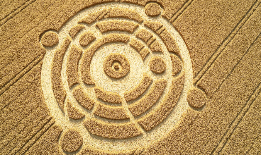 Kornkreise – Entstanden durch Außerirdische, Menschen oder die Natur?